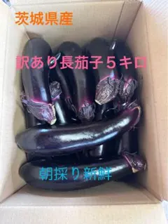 長ナス4.5kg！朝採れ！！農家直送！！！ - メルカリ