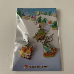ポケモン メタルチャーム