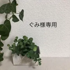 ぐみ様専用ページ