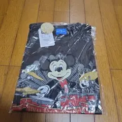 Item thumbnail for item 9efeb752-6d5e-4e5c-980a-a8f1d08edc82