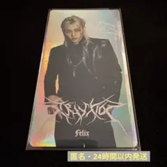 Stray Kids dominATE ソウルコン ラントレ フィリックス