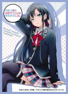 スリーブ COMIC1 逸遊団 fate 黒セイバー オルタ 遠坂凛 スリーブ