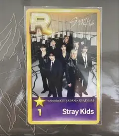 straykids シュスジェ