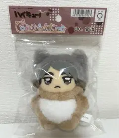 ハイキュー!! ちみけもますこっと　宮治　稲荷崎　エンスカイ