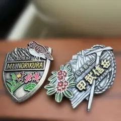 Item thumbnail for item 2c67e4ed-d525-48d7-8181-5dd2d531a27a