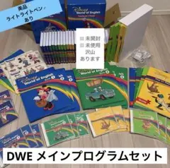 美品 DWE ミッキーパッケージ 2009年 使用少ない 付属品完備 - メルカリ
