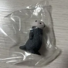 虚無 伍 らっこ
