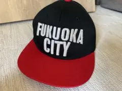 Item thumbnail for item 34fccb07-8871-4aef-8268-e77efc4b665d