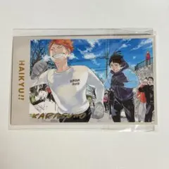 ハイキュー　メモコレ　烏野