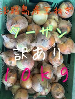訳あり品】淡路島玉ねぎ ターザン サイズミックス 10キロ - メルカリ