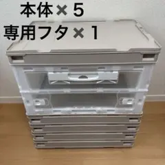 リス CB-51NRL 折りたたみコンテナ 片扉 50L ベージュ 本体 フタ