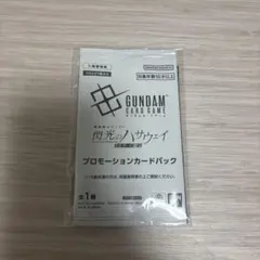 機動戦士ガンダム　閃光のハサウェイ　キルケーの魔女　入場特典 【未開封】