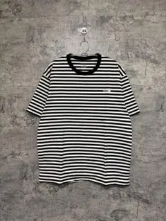 THE NORTH FACE ノースフェイス ボーダー メンズTシャツ Lサイズ