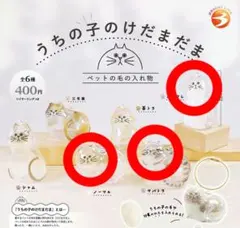 ガチャ　正規品　うちの子のけだまだま　ノーマル　サバトラ　ハチワレ　3個セット