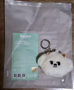 TXT ボムギュ　プルバトゥ　FACE KEYRING BAMGEUT バムグッ