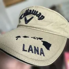 Item thumbnail for item 37547ace-899b-46fb-b5d5-fe148bfead56