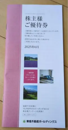 東急不動産ホールディングス 宿泊/スポーツ優待券 2026年1月末まで 100株