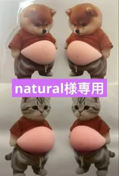 お腹ぷにぷにシール 犬＆ねこ おなかぷくぷく 立体3D 4匹