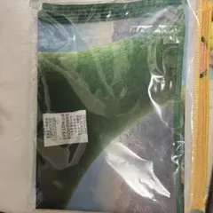 【アーロと少年】Pixar くじ ファブリックポスター