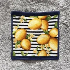 【水通しのみ】♡美品　フェイラー× チェスティコラボ☆レモン　ボーダー　廃盤品