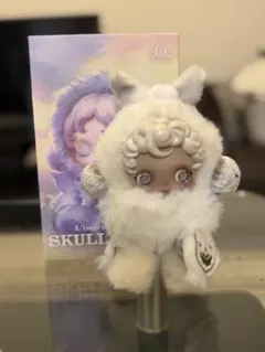 junrin様 ご確認用　SKULLPANDA