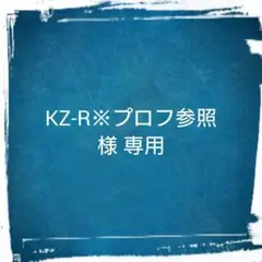 KZ-R※プロフ参照様専用