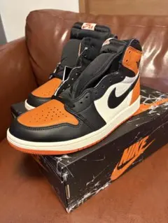 Nike Air Jordan1 Shattered Backboard