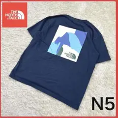送料無料！ ノースフェイス レアカラー バックロゴ クルーネック 半袖 Tシャツ