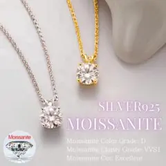 a*a様 0.5ct モアサナイト ネックレス 馬蹄 ダンシングストーンS925 