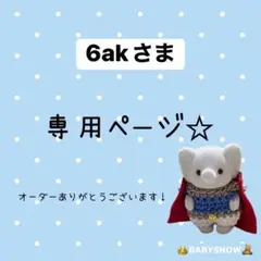 6akさま専用☆