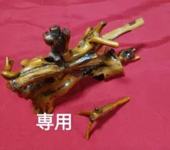 2025年最新】へら鮒万力の人気アイテム - メルカリ