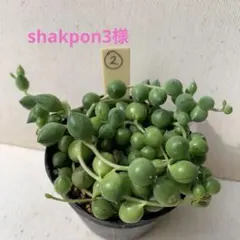 shakpon3様 リクエスト 2点 まとめ商品