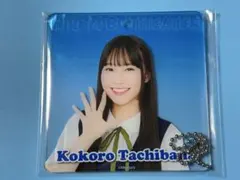 Item thumbnail for item 9f445135-7d90-41fb-995f-d1b8e28374ec