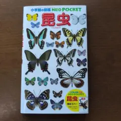 2026年最新】昆虫 標本 販売の人気アイテム - メルカリ
