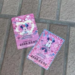 ミニー@ファンダーランド ミニーの日 リゾートラインフリーきっぷ 2種類