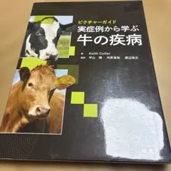 裁断済み 犬と猫のX線撮影ガイド - メルカリ