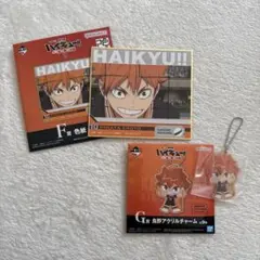 ハイキュー！！ゴミ捨て場の決戦2 一番くじ　F賞・G賞　日向翔陽まとめ売り