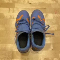 Item thumbnail for item 2f219c60-ee27-4a56-a723-07cfee274fd2