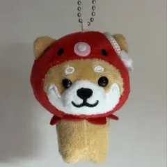 柴犬 マスコット ぬいぐるみ 大阪