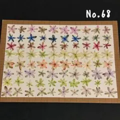 押し花No.83 - メルカリ