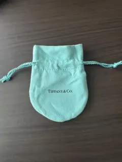 TIFFANY & Co. ティファニー 巾着　保存袋 ポーチ