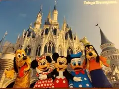 ディズニーランド　シンデレラ城　ポストカード4枚セット　希少　レトロ　絵はがき
