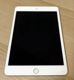 Apple iPad mini5 シルバー 本体 64GB