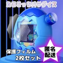 數碼寶貝 天堂 螢幕保護貼 2入 螢幕保護膜 防刮 防指紋