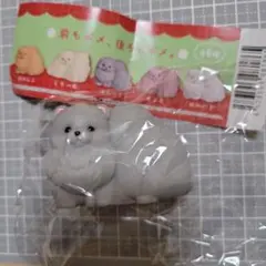 どっちも主役！ポメラニアン ぶらっくのサムネイル