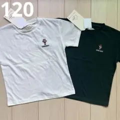 【しまむら】キツネ☆くま Tシャツ 2点セット 120