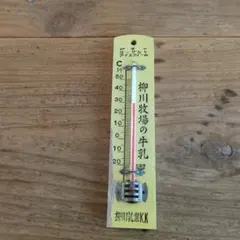 2025年最新】鉄道温度計の人気アイテム - メルカリ