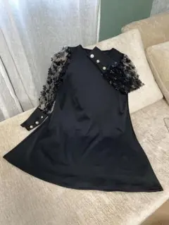 シアースリーブ Aラインワンピース　ブラック