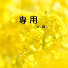 Item thumbnail for item 0756f24d-5f2d-4181-9635-e09525686077