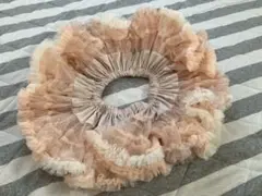 パンパンチュチュ　カーニバル　S
